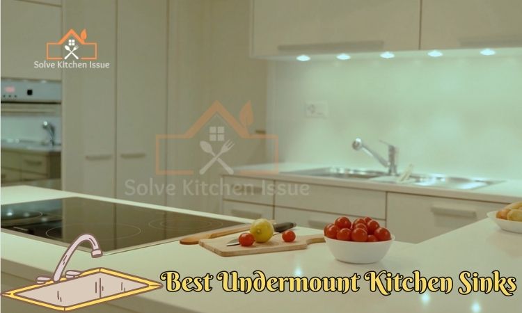 Best Undermount Kitchen Sinks
